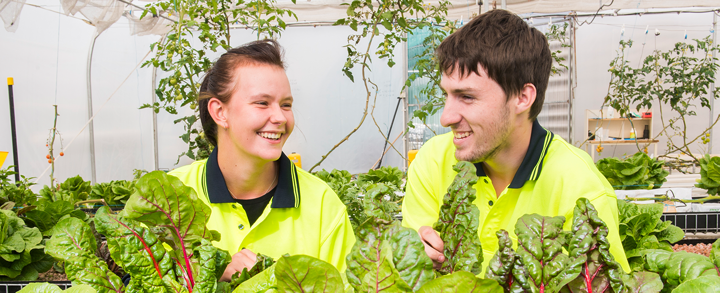 two people with plants around